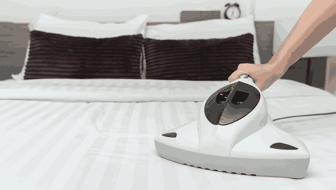 Professional Mattress Cleaning Rye