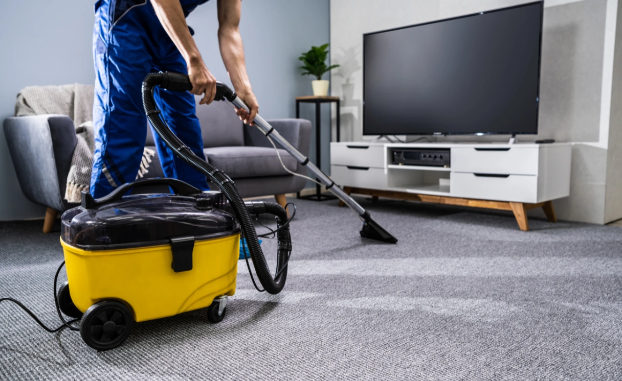 Extract Mattress Cleaning Rye Contact Office